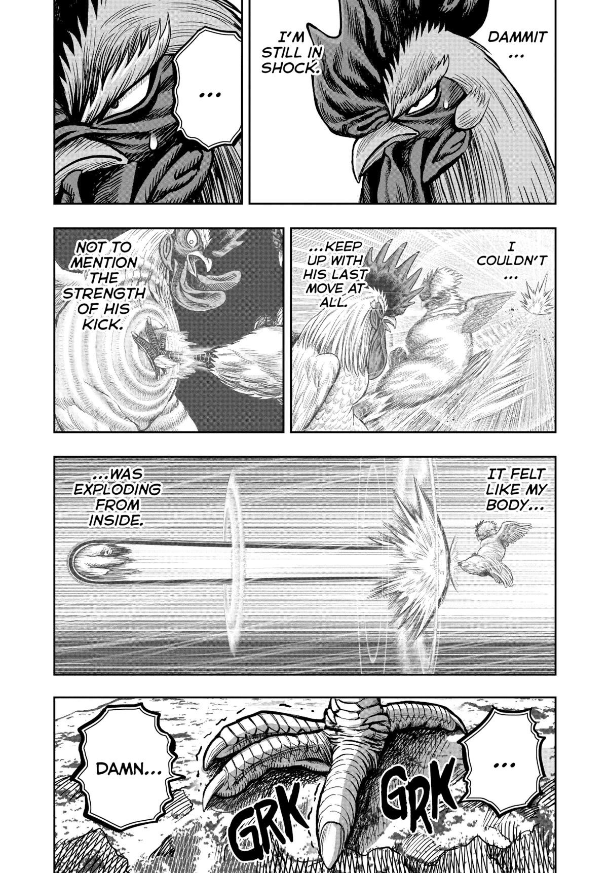 Rooster Fighter Chapter 20 8