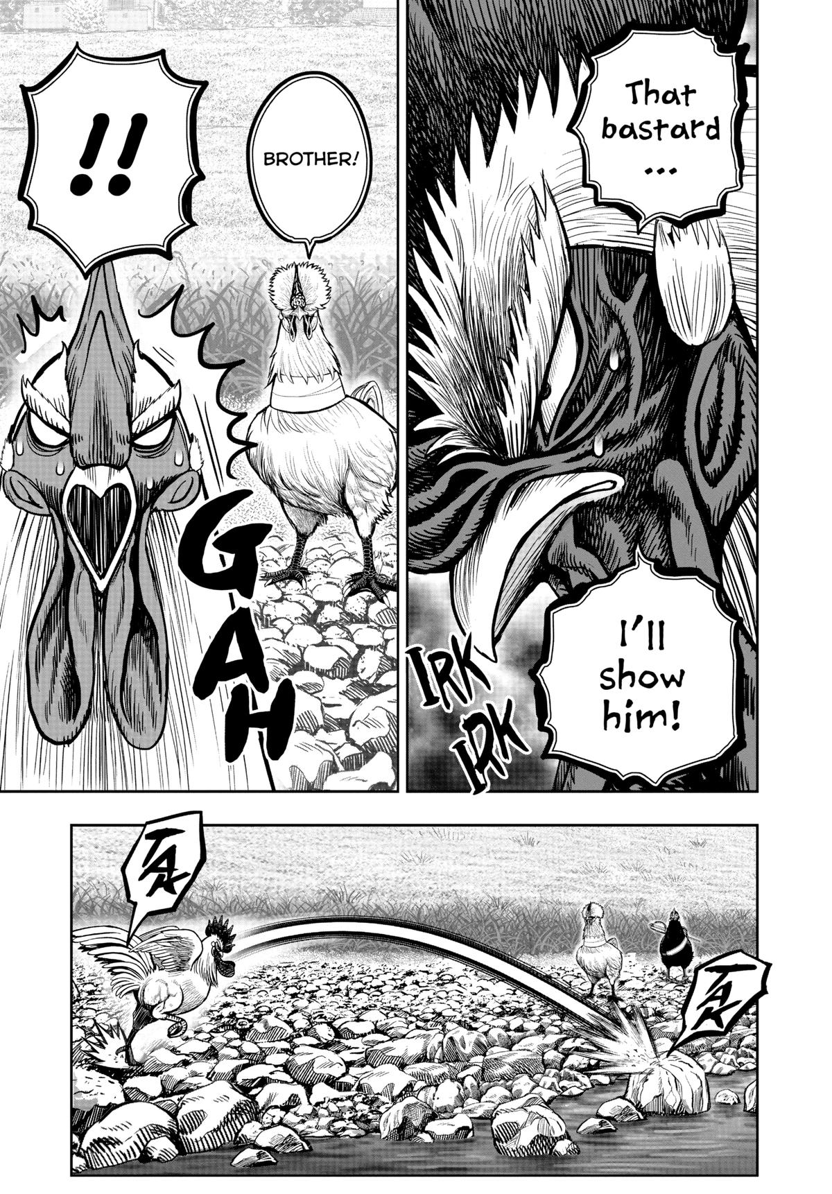 Rooster Fighter Chapter 20 9