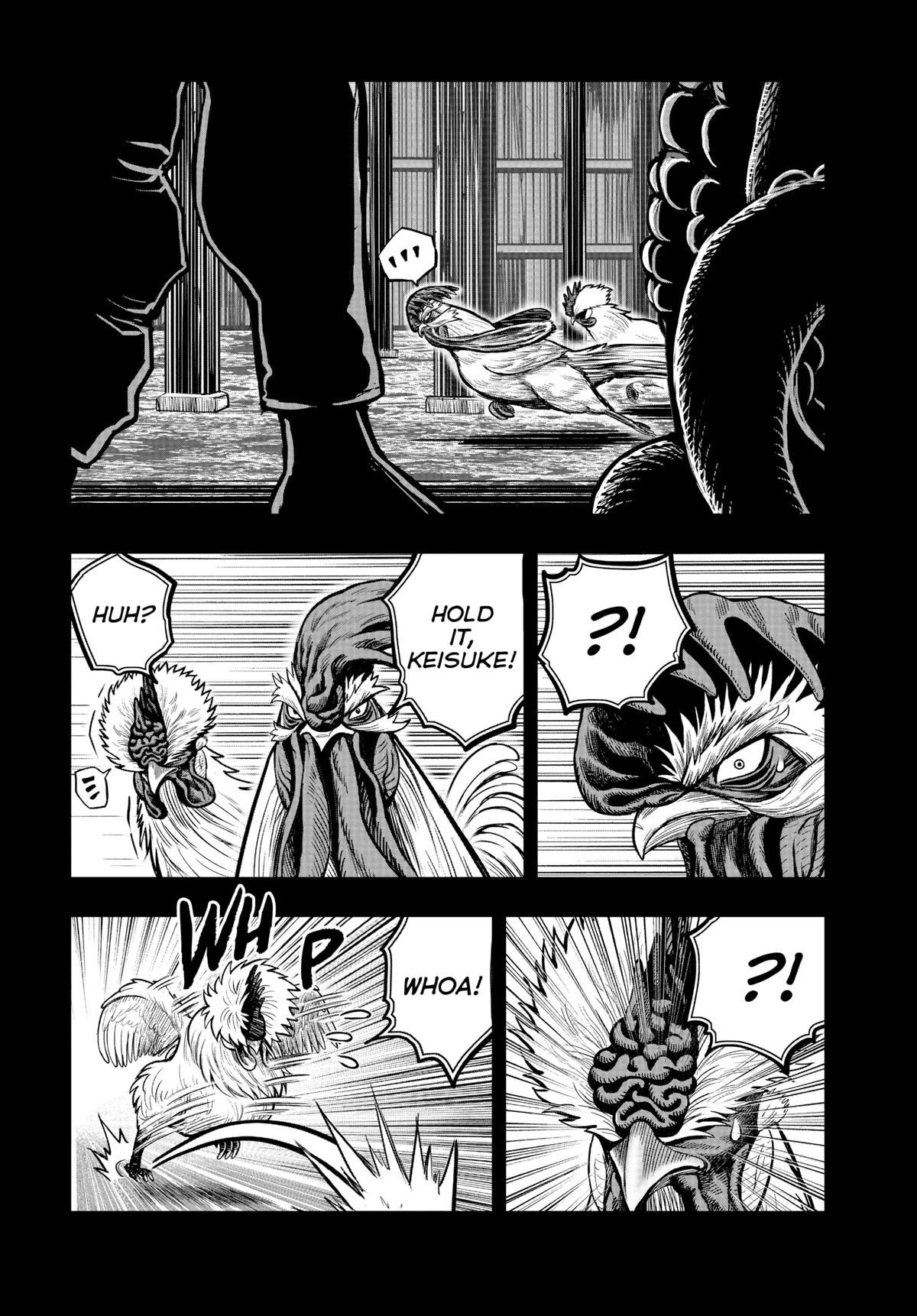 Rooster Fighter Chapter 20 25