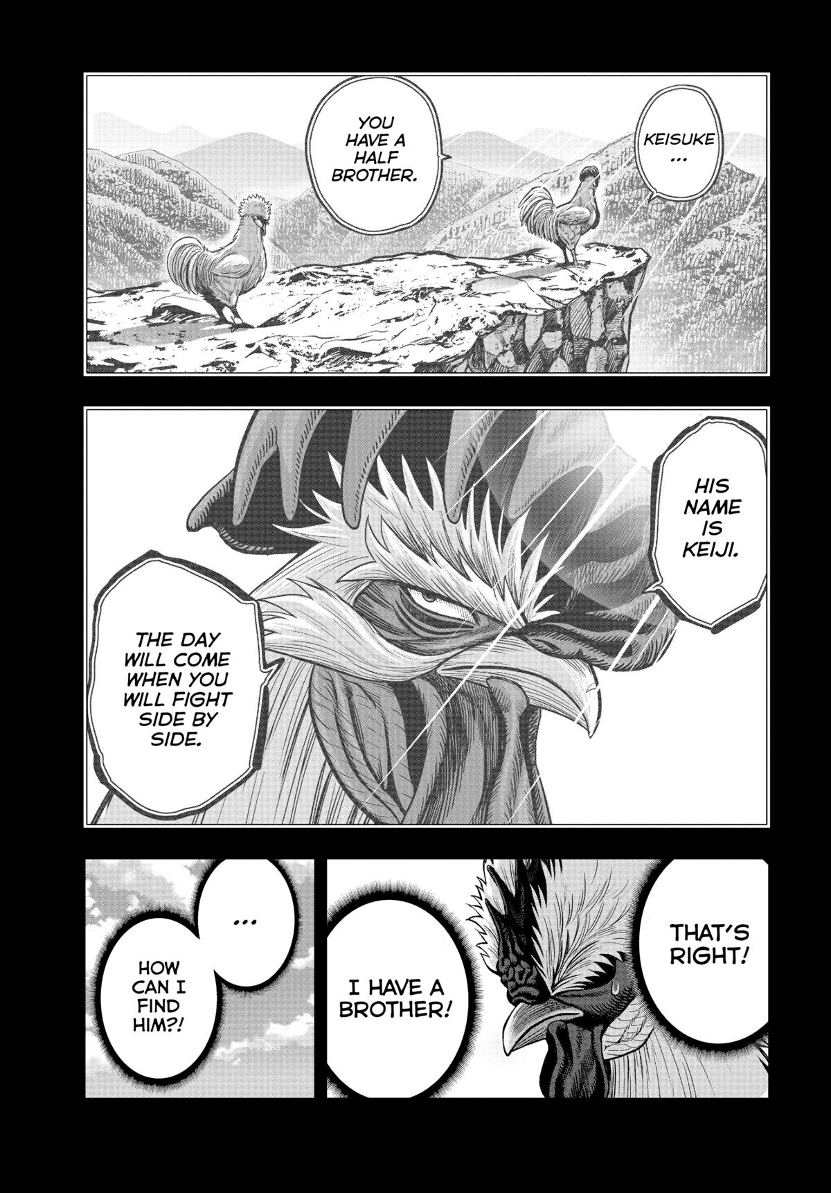 Rooster Fighter Chapter 20 43