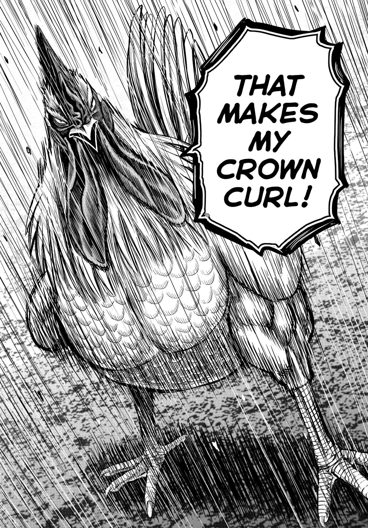 Rooster Fighter Chapter 22 13