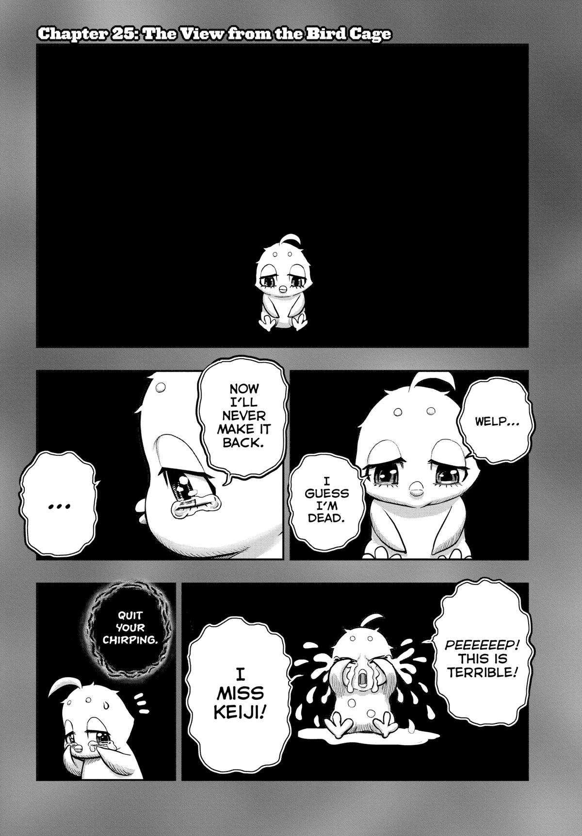 Rooster Fighter Chapter 25 4