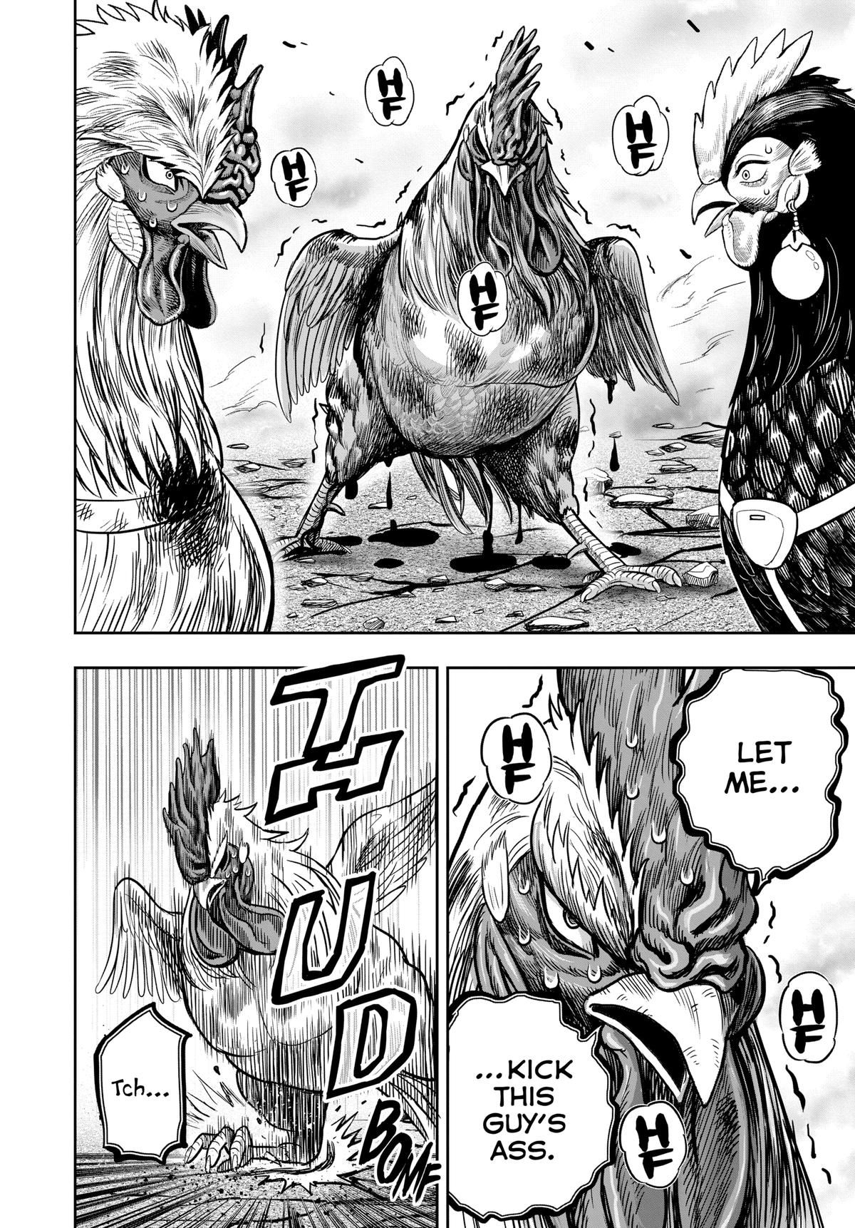 Rooster Fighter Chapter 26 8