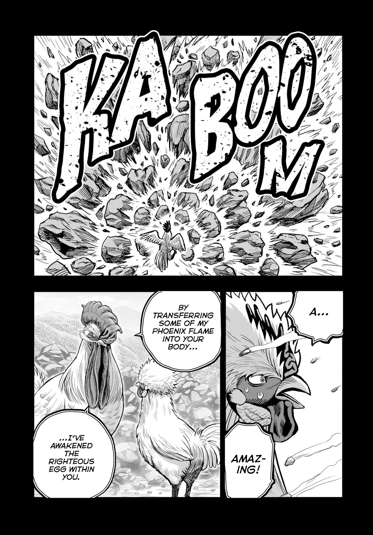 Rooster Fighter Chapter 26 28