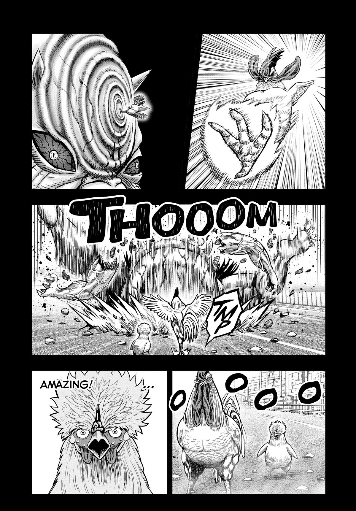 Rooster Fighter Chapter 27 13