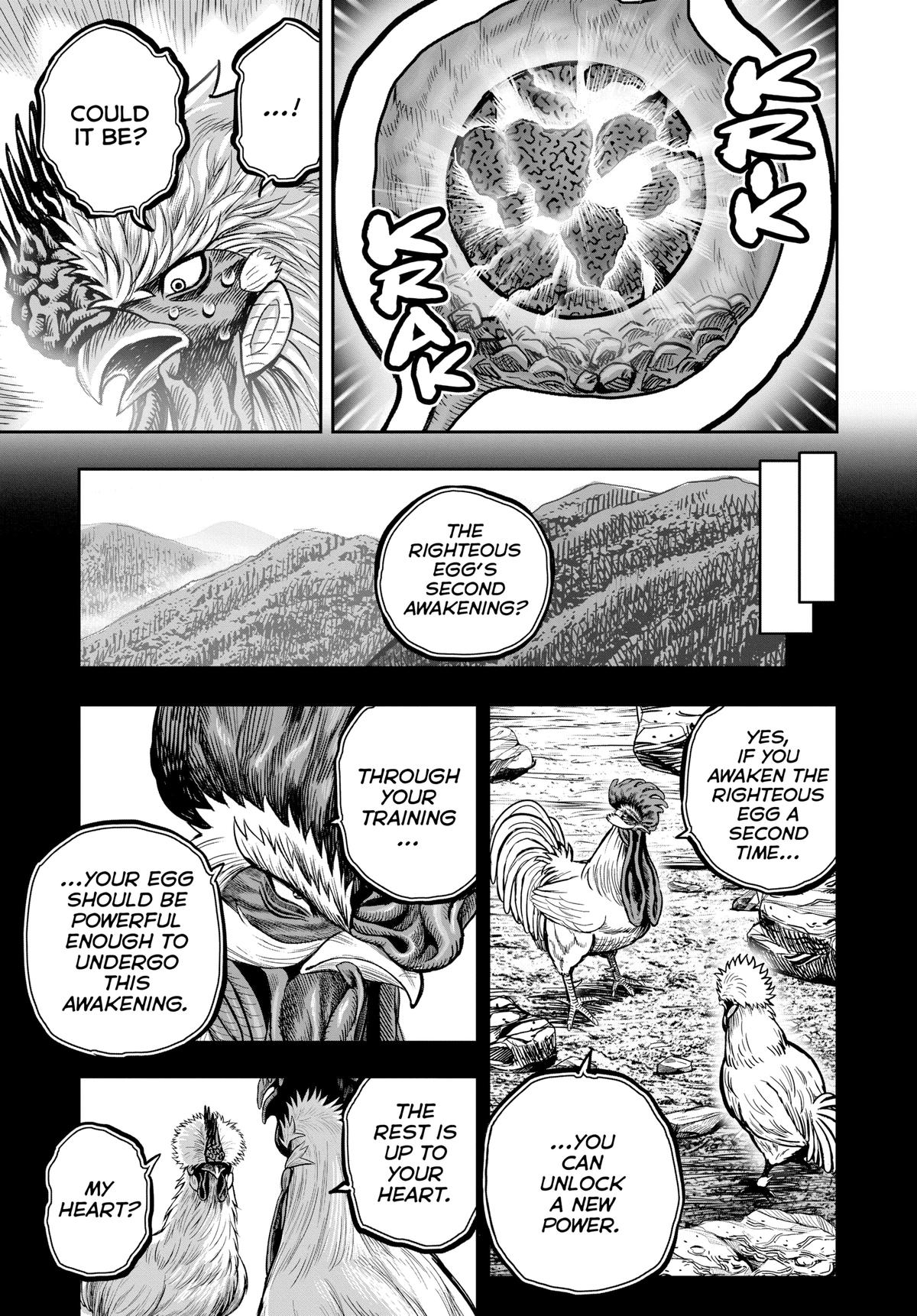 Rooster Fighter Chapter 27 47