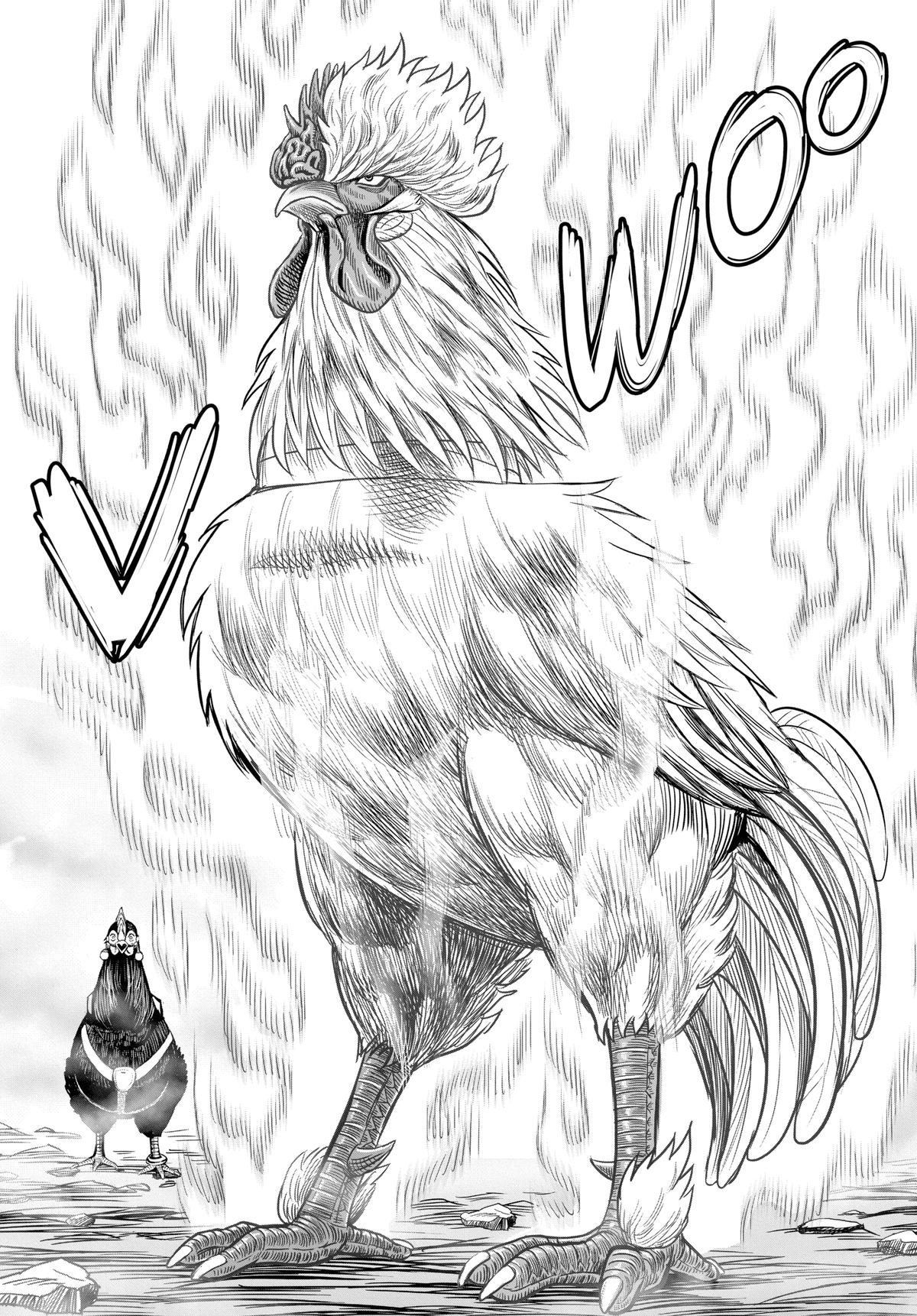 Rooster Fighter Chapter 27 50