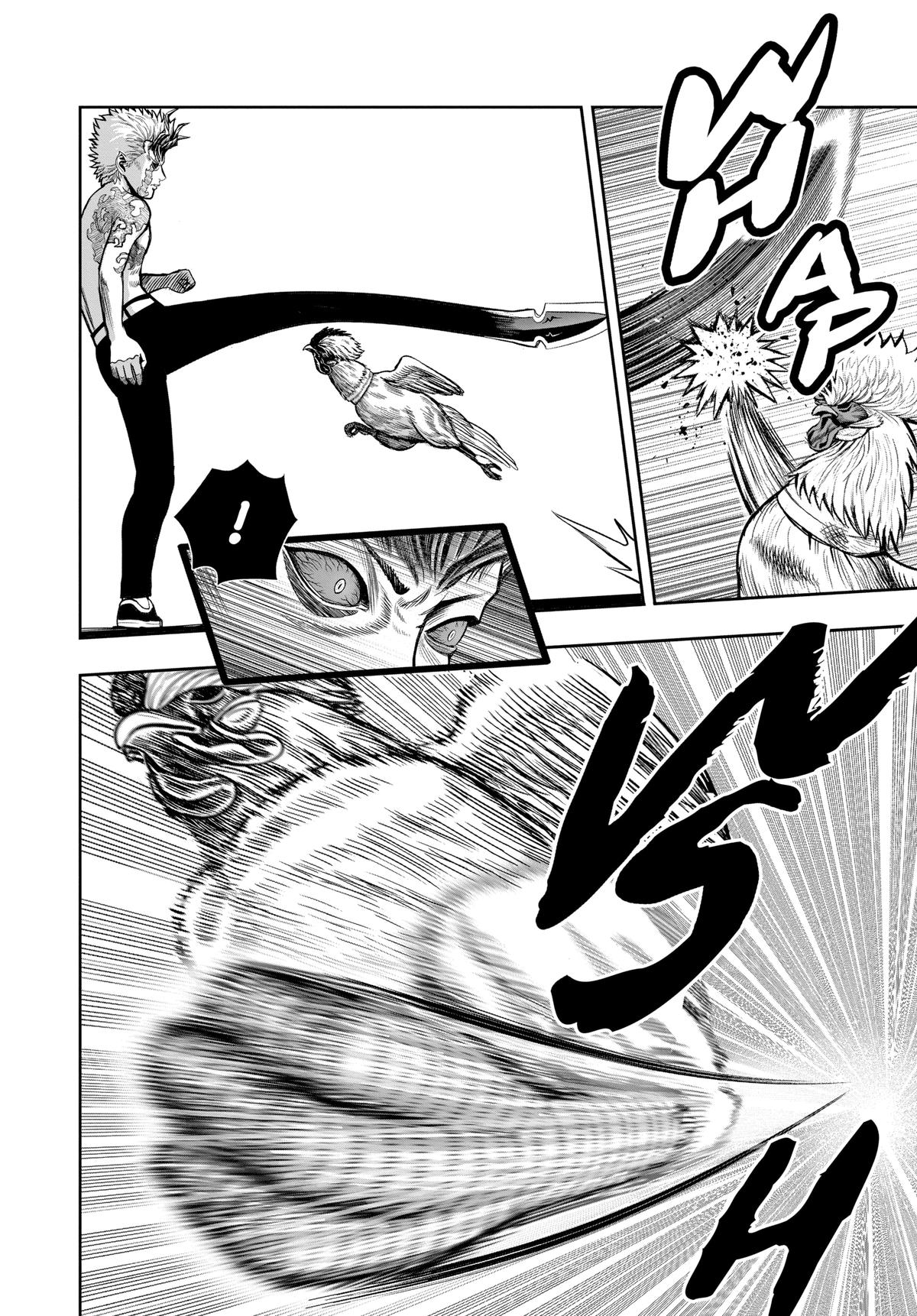 Rooster Fighter Chapter 28 8
