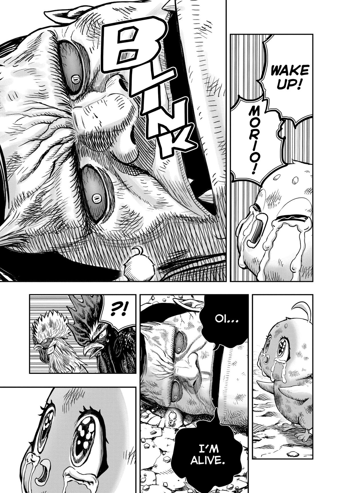 Rooster Fighter Chapter 30 7
