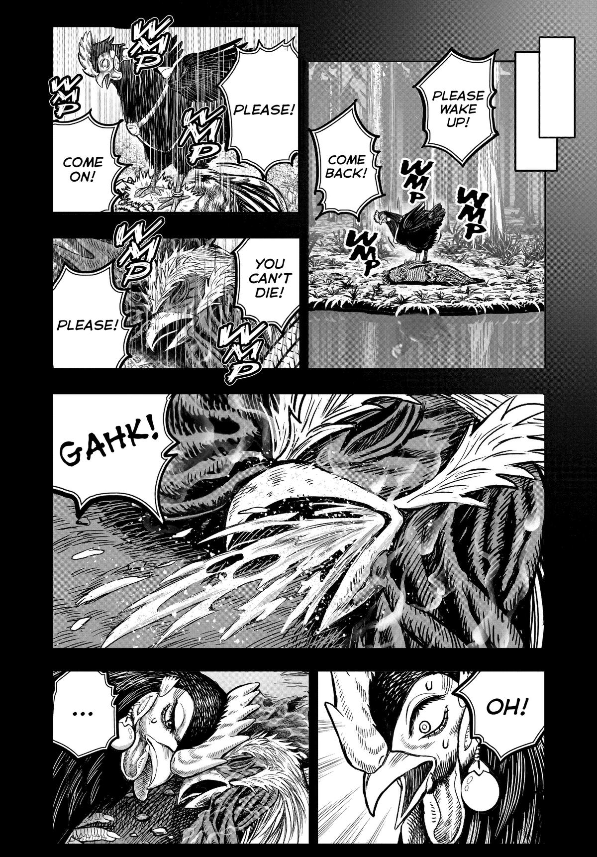 Rooster Fighter Chapter 30 12