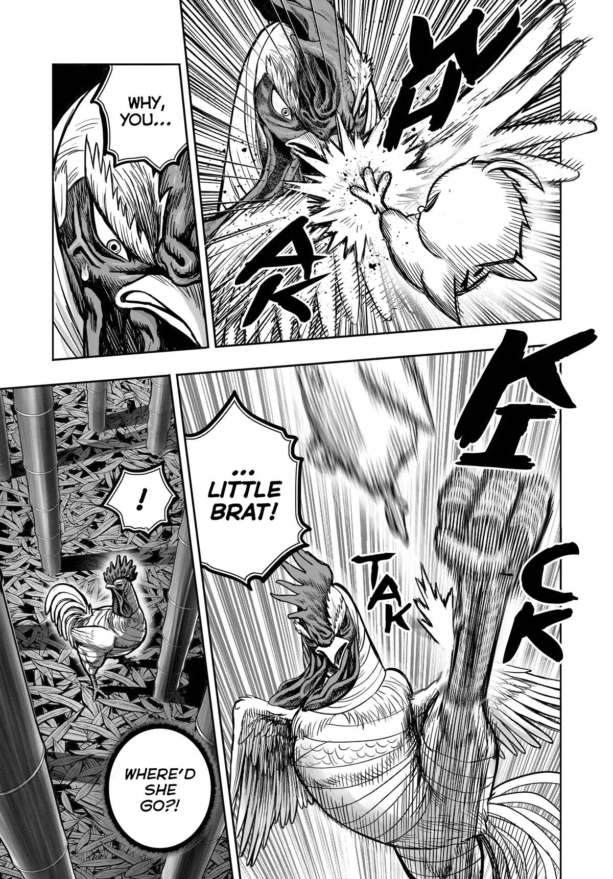 Rooster Fighter Chapter 33 9