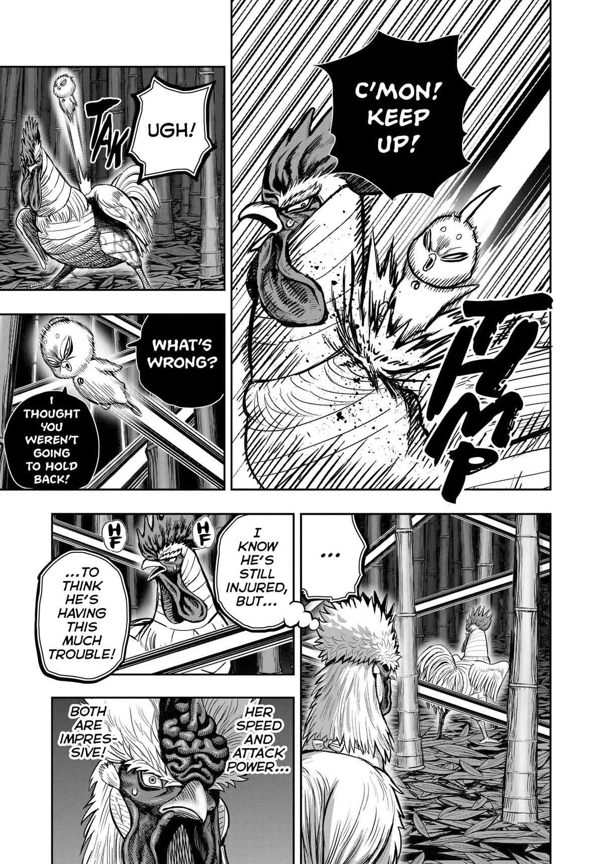Rooster Fighter Chapter 33 13