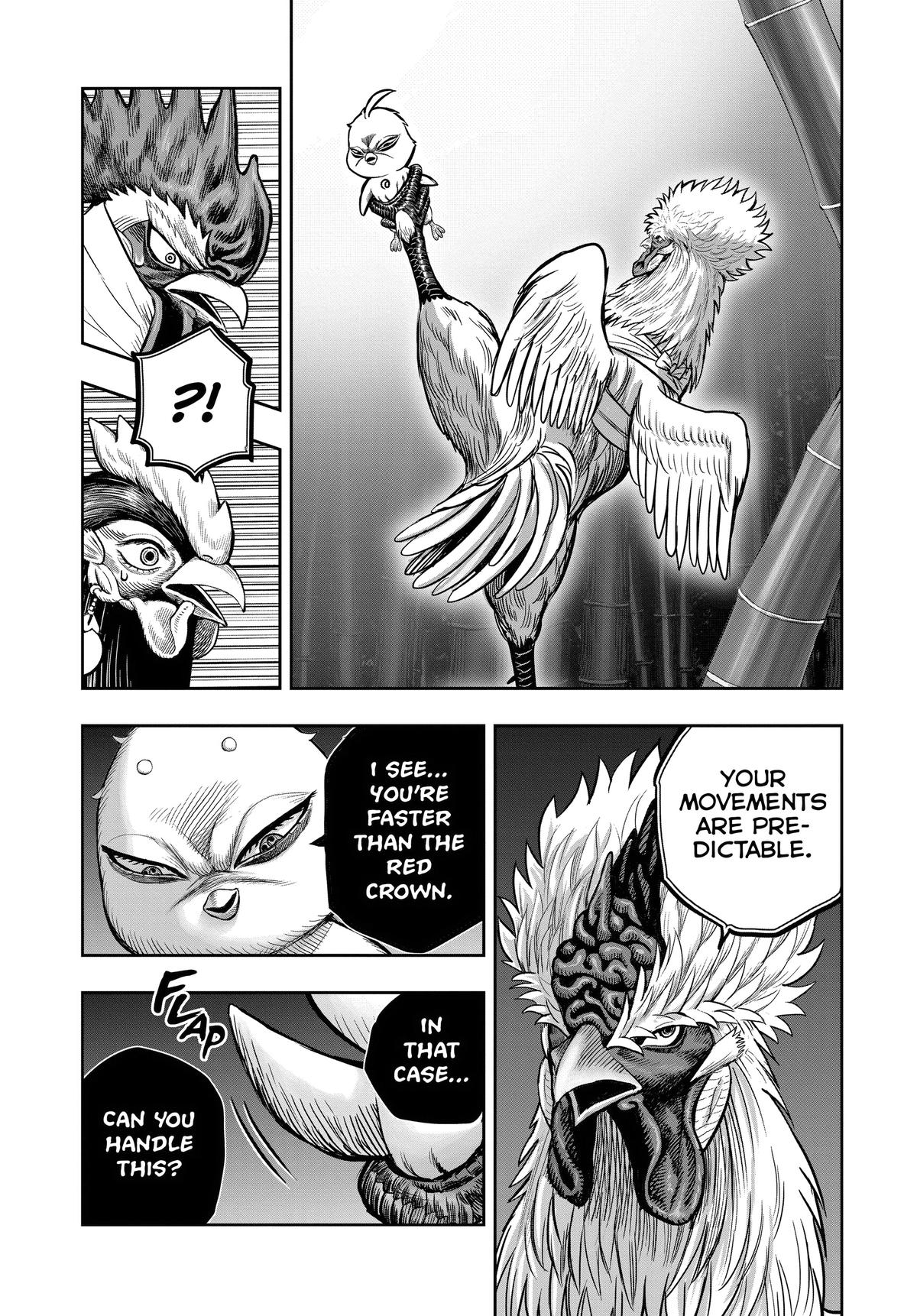 Rooster Fighter Chapter 33 18