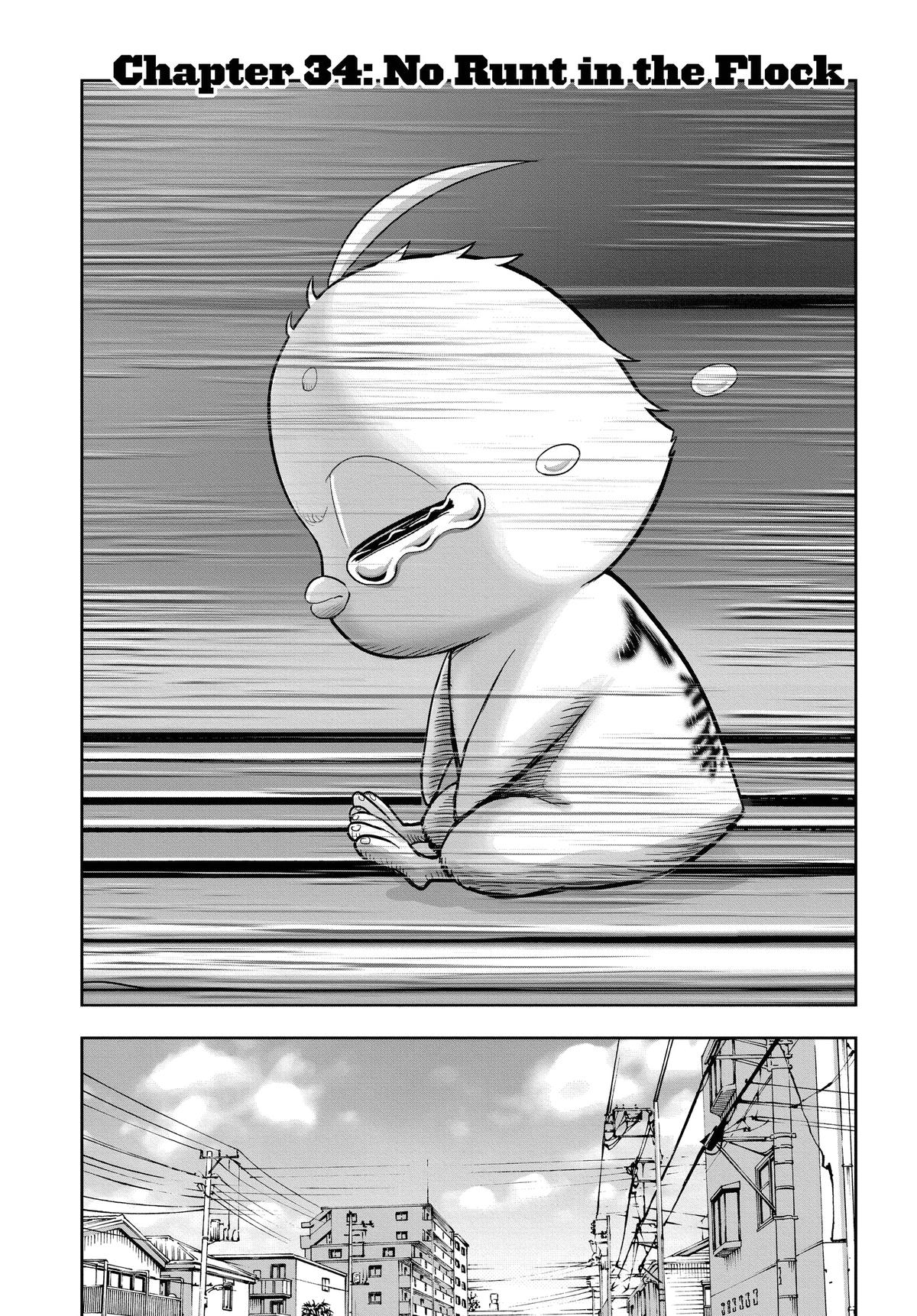 Rooster Fighter Chapter 34 - Page 2 - Rooster Fighter manga Chapter 34 manga
