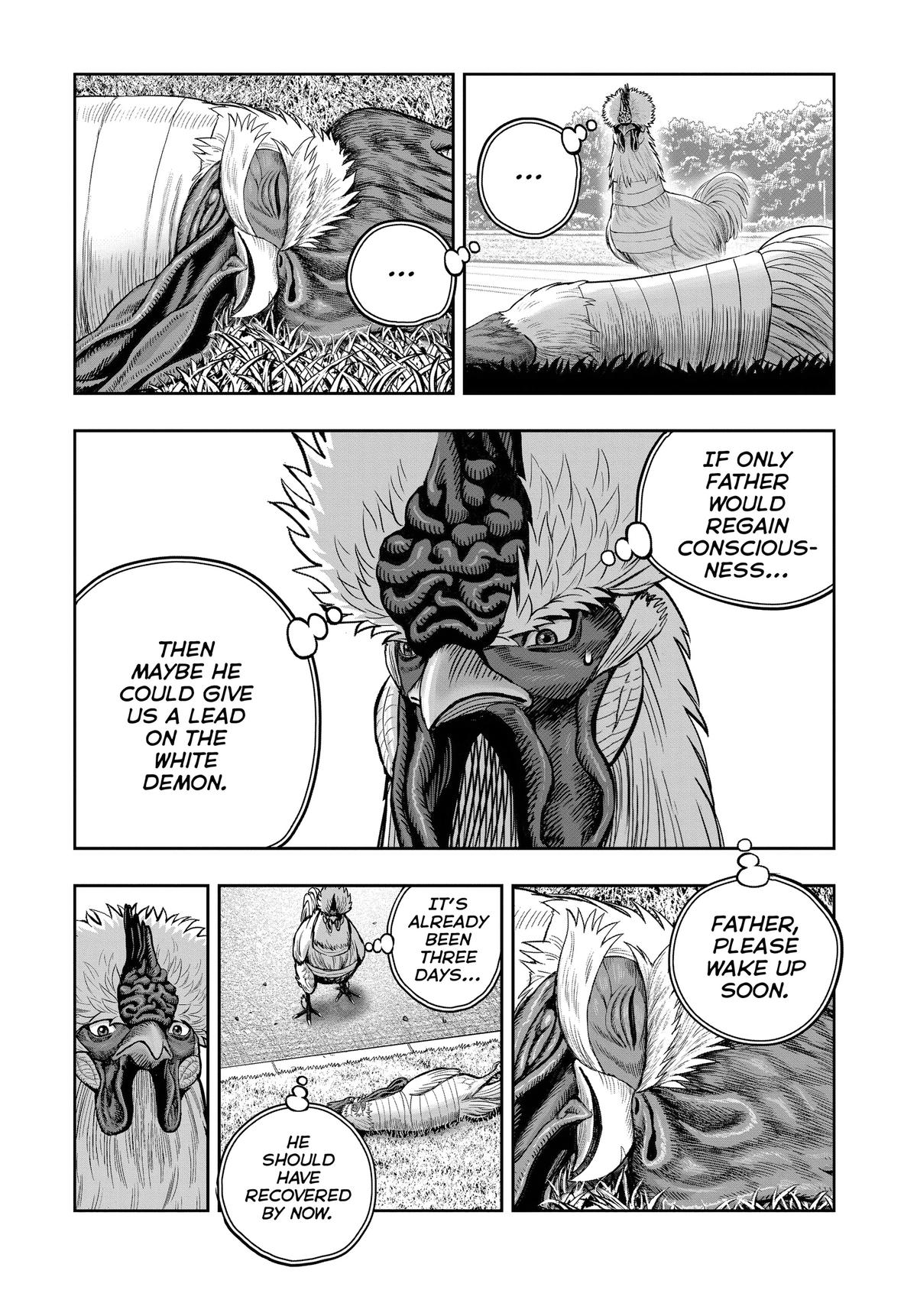 Rooster Fighter Chapter 34 13