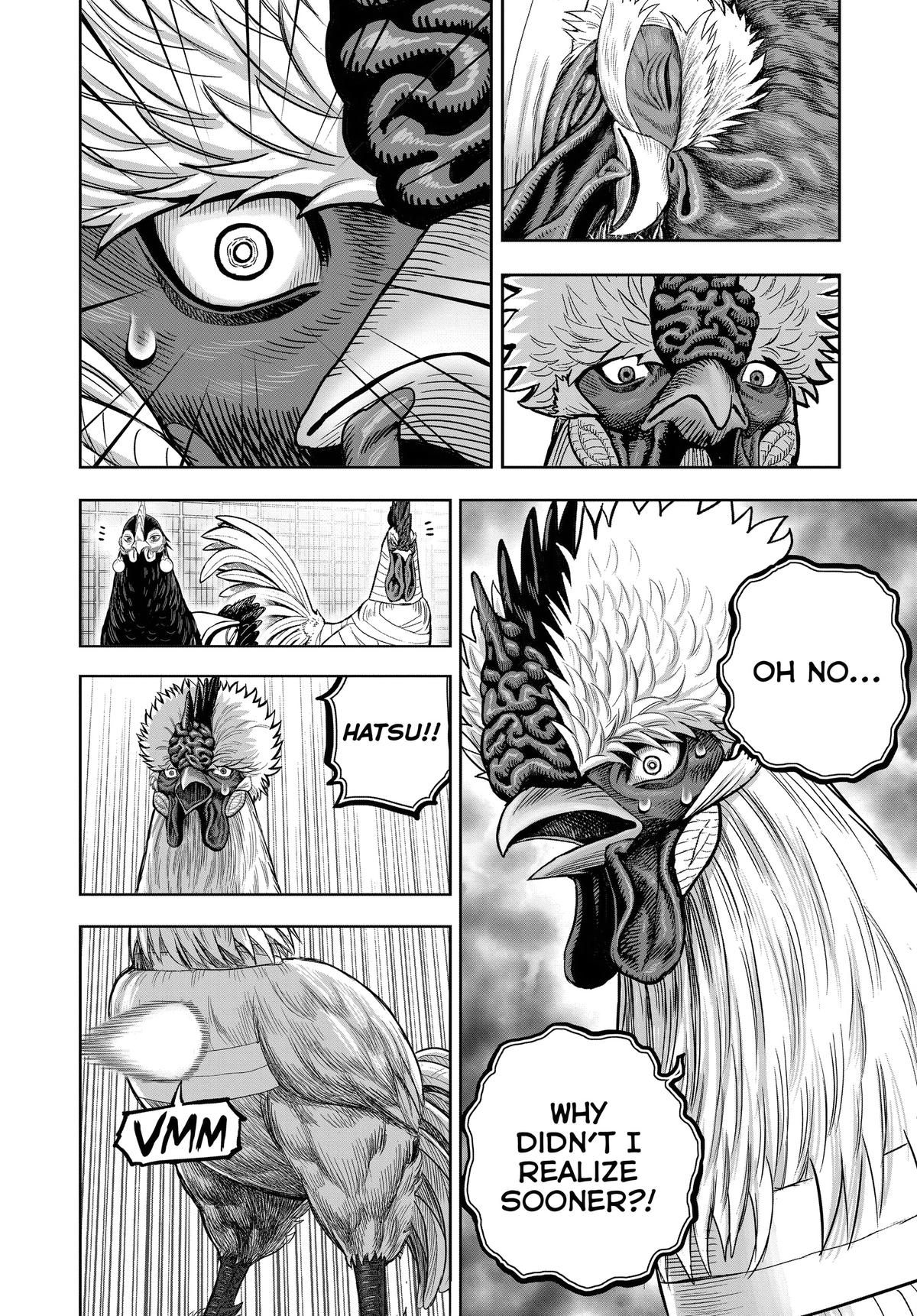 Rooster Fighter Chapter 34 14