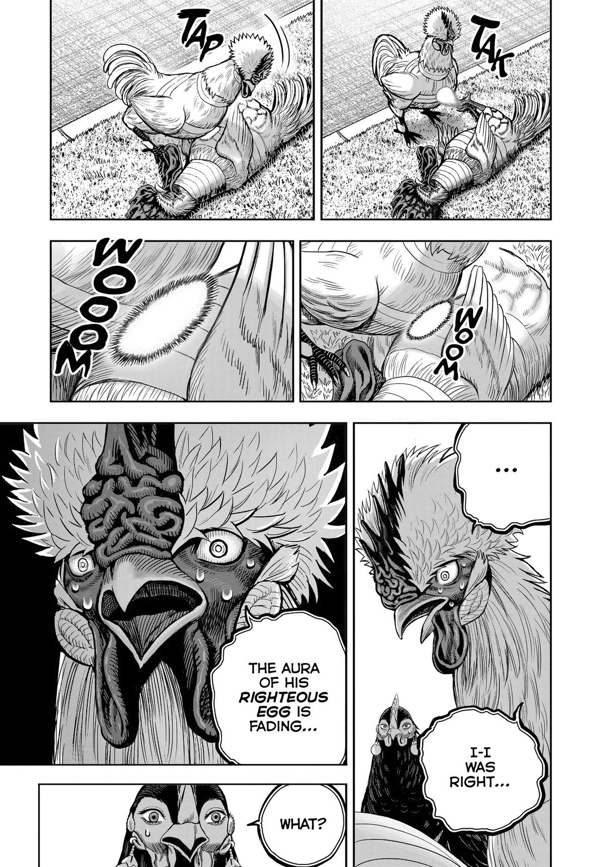 Rooster Fighter Chapter 34 15