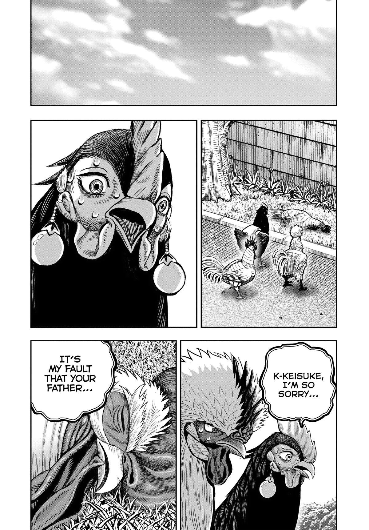 Rooster Fighter Chapter 34 37