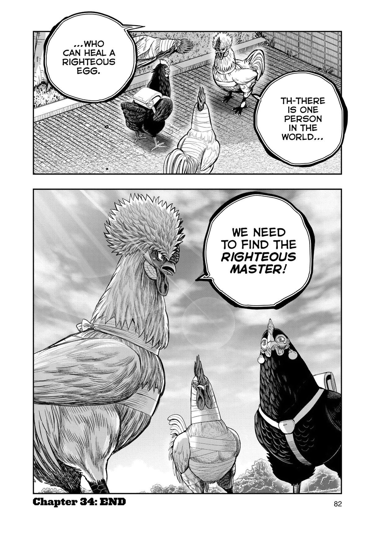 Rooster Fighter Chapter 34 40