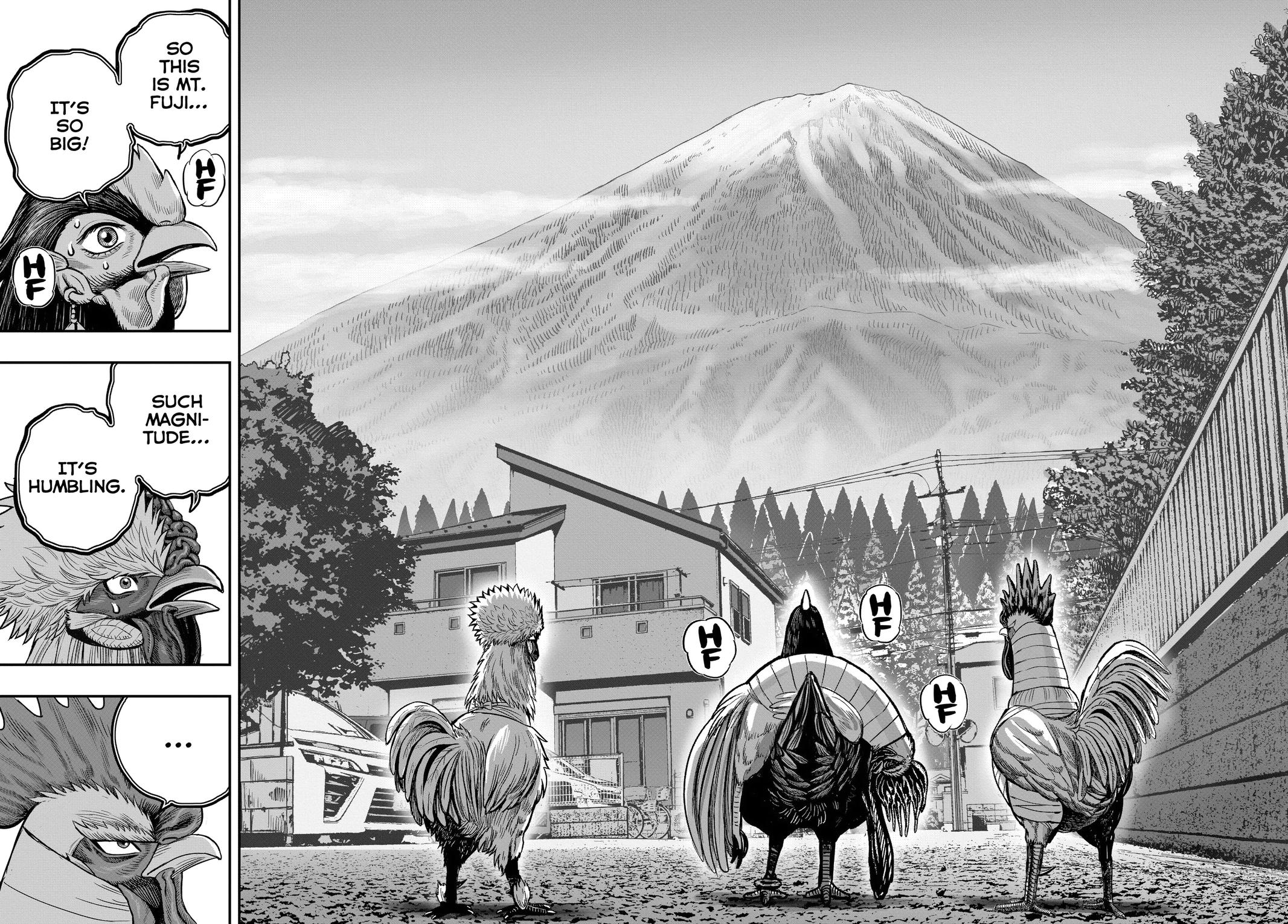 Rooster Fighter Chapter 36 16