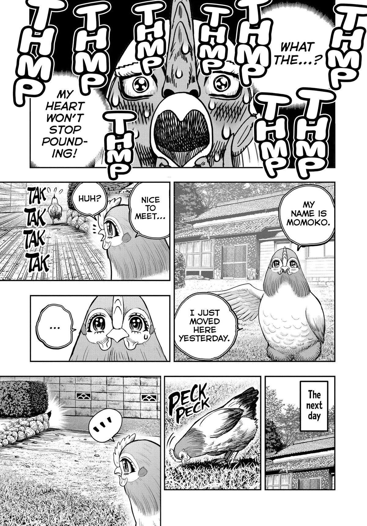 Rooster Fighter Chapter 36.5 5
