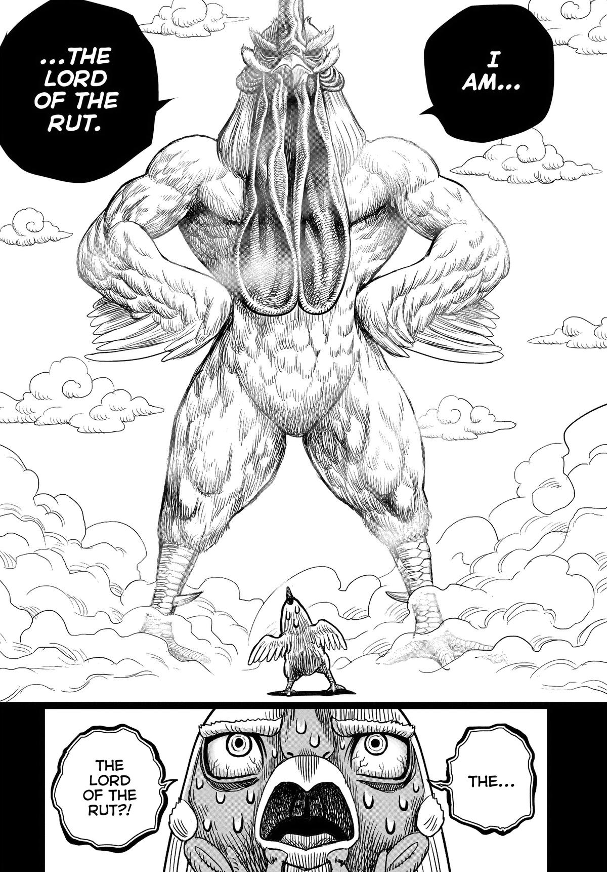 Rooster Fighter Chapter 36.5 17