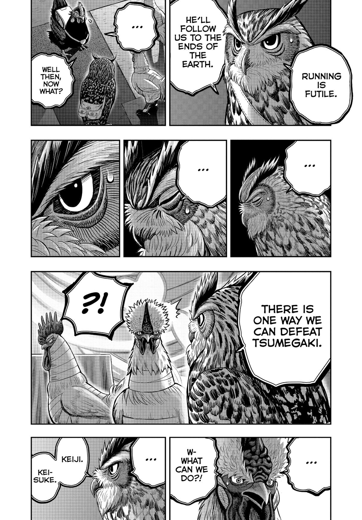 Rooster Fighter Chapter 41 22