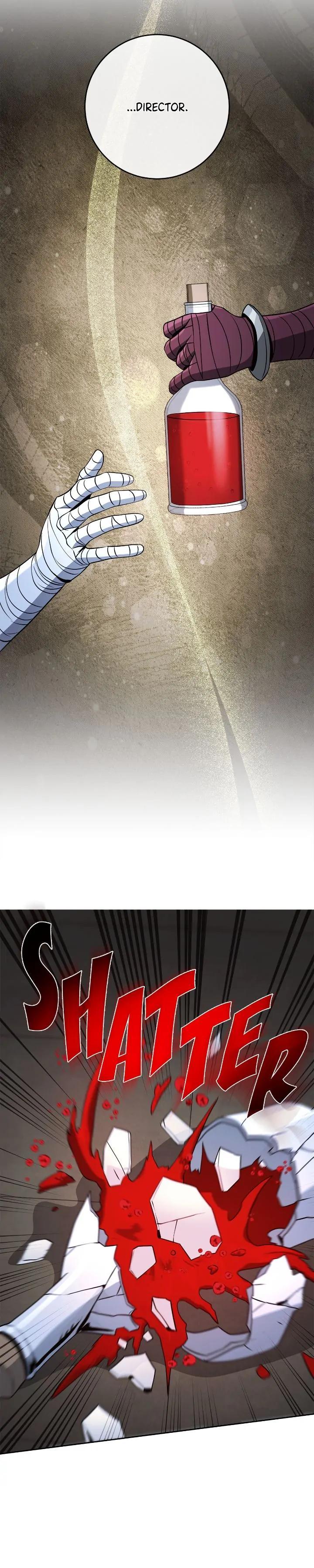 The Skeleton Soldier Failed to Defend the Dungeon Chapter 256