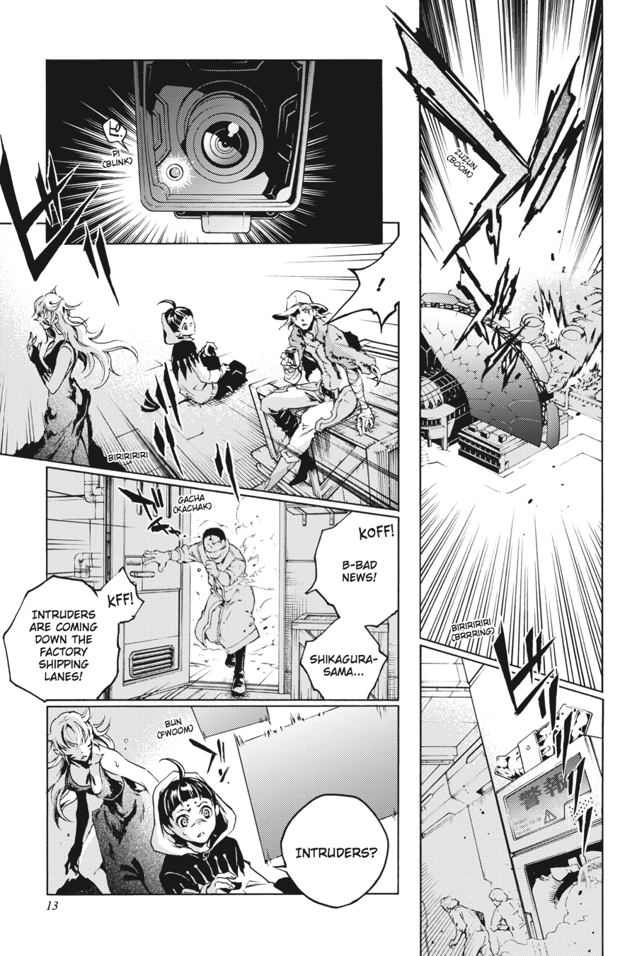 Page 13