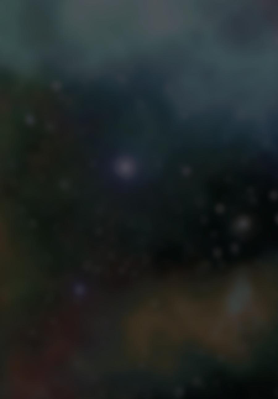 Solo Leveling (Volume) Chapter 40.2 48