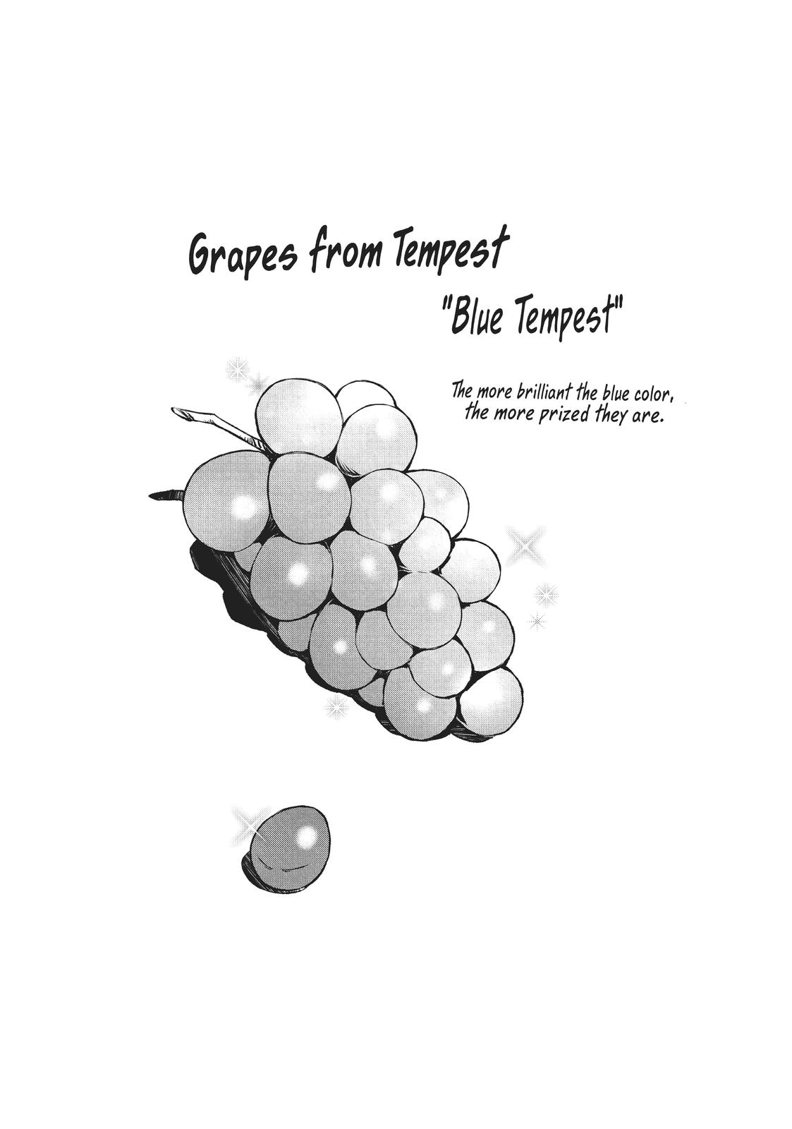 That Time I Got Reincarnated as a Slime Chapter 77