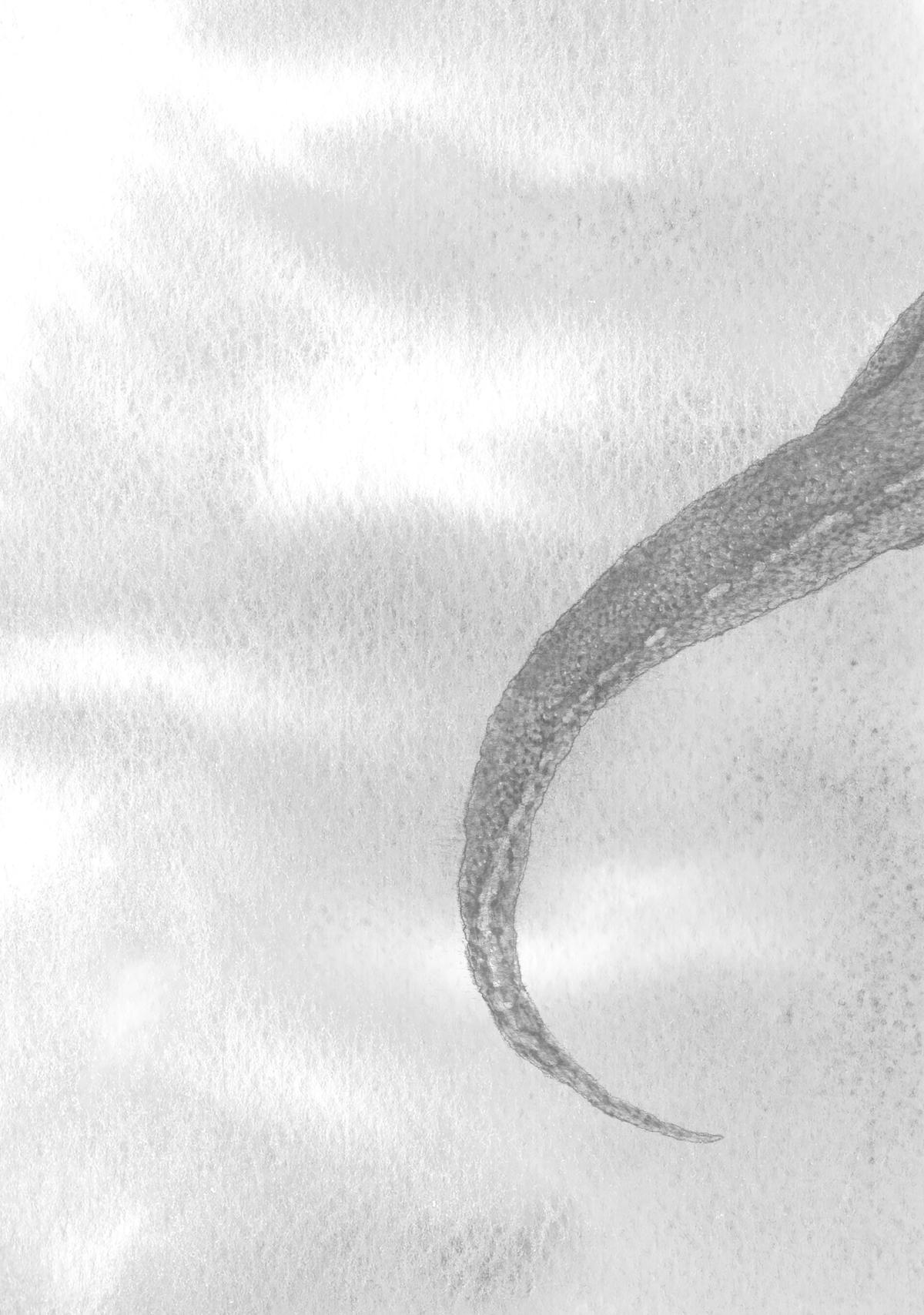 The Beast Player Chapter 0.2 32