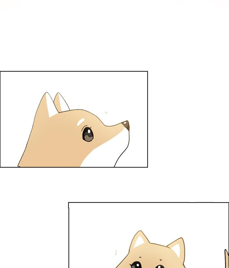 The Dog Diaries S1 - Episode 16 59