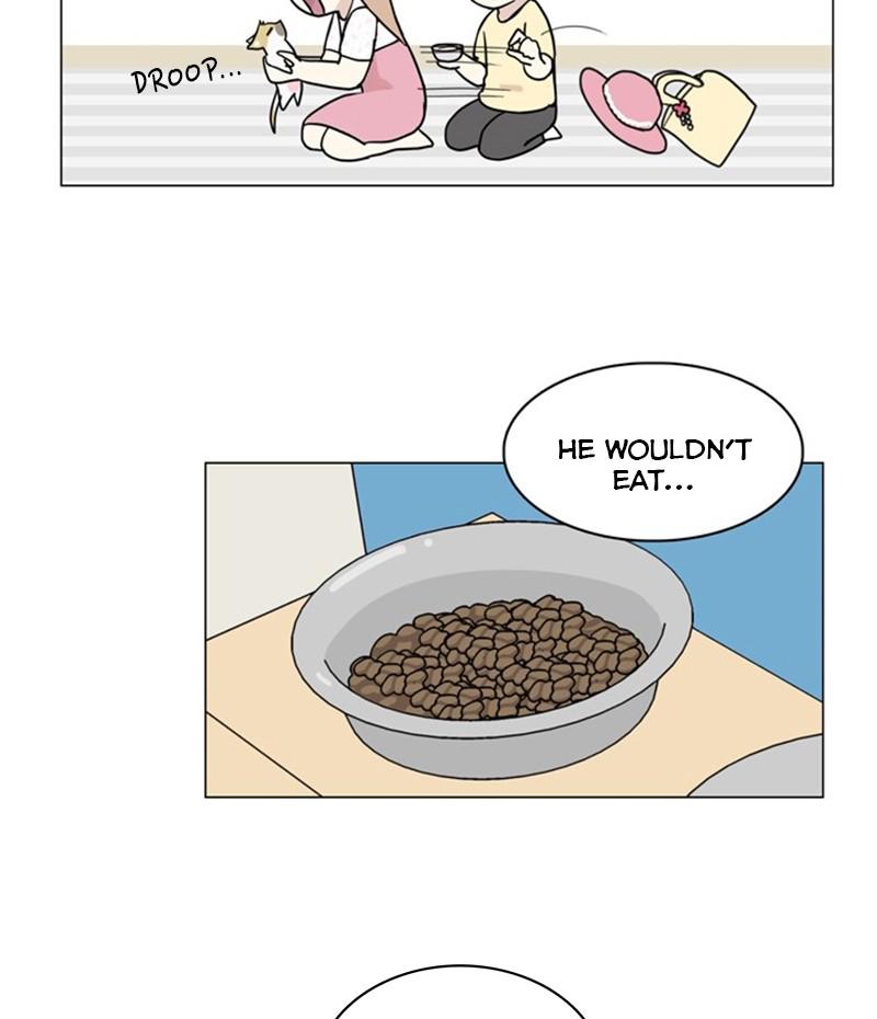 The Dog Diaries S1 - Episode 23 59