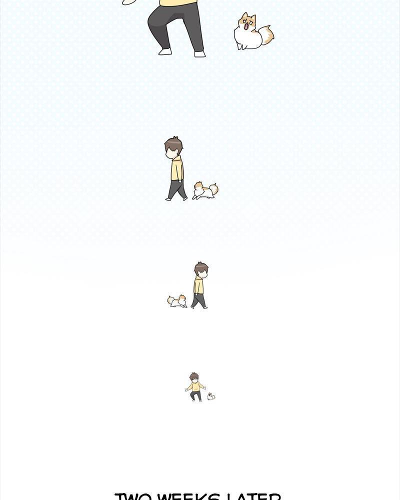 The Dog Diaries S1 - Episode 38 59