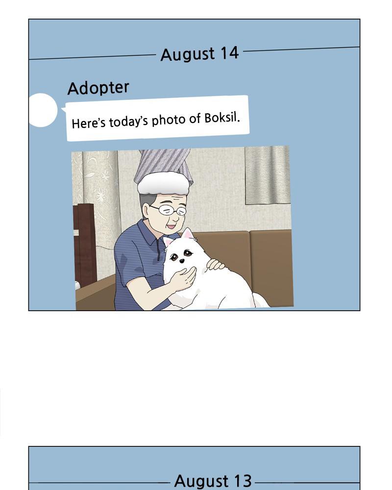 The Dog Diaries S1 - Episode 57 59