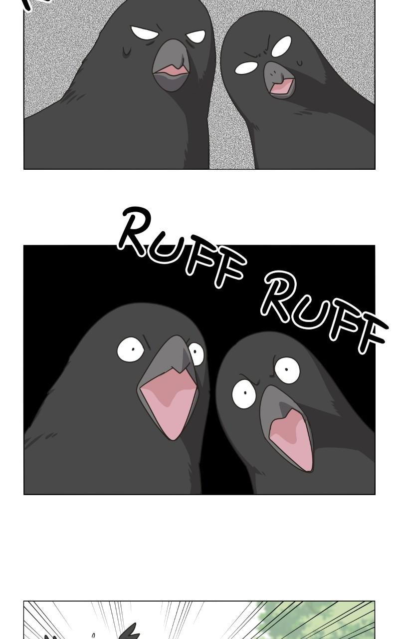 The Dog Diaries S2 - Episode 5 59