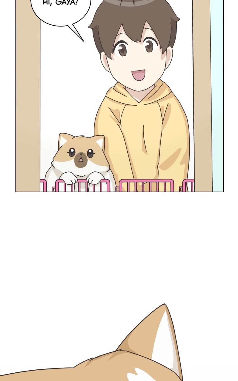 The Dog Diaries S2 - Episode 10 59
