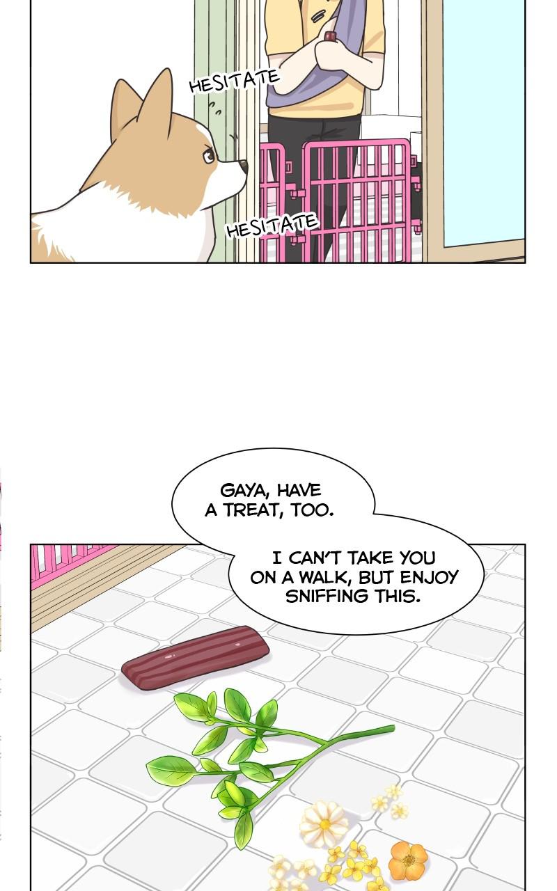 The Dog Diaries S2 - Episode 17 59