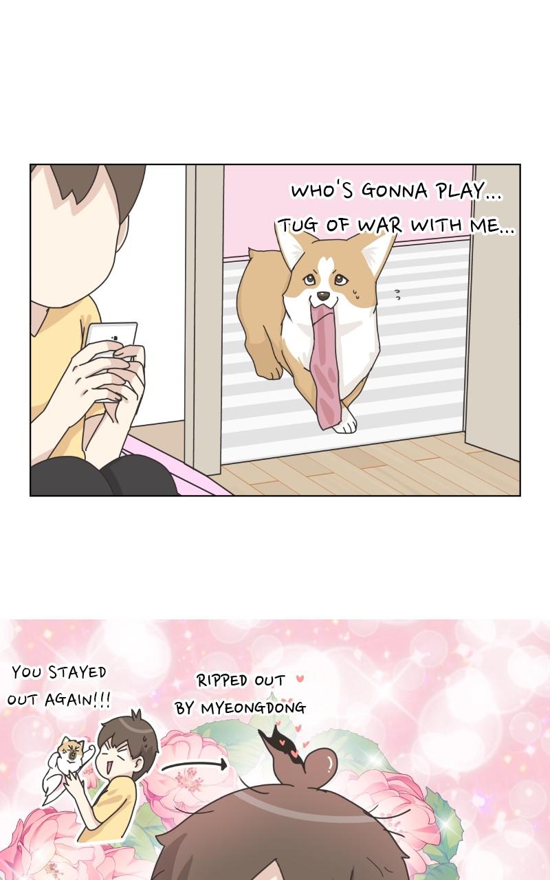 The Dog Diaries S2 - Episode 21 59