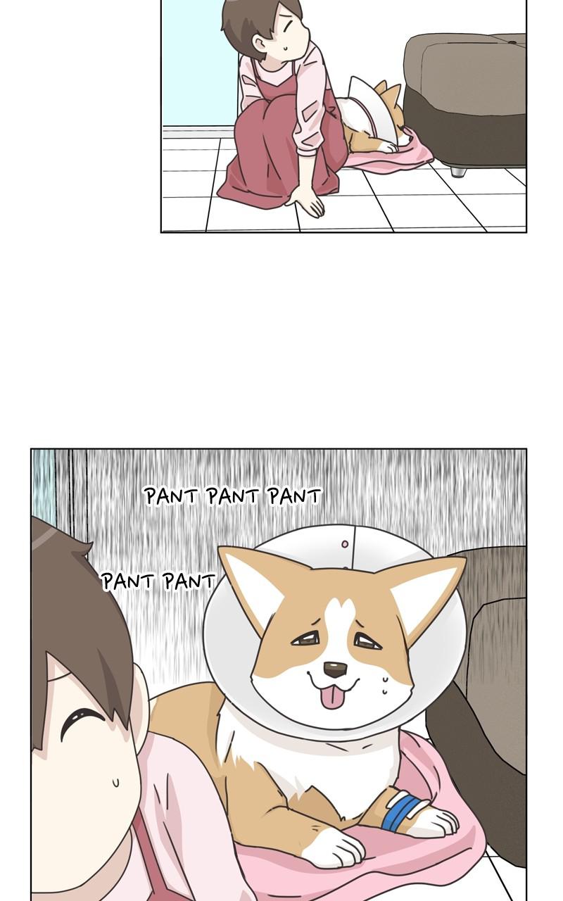 The Dog Diaries S2 - Episode 23 59
