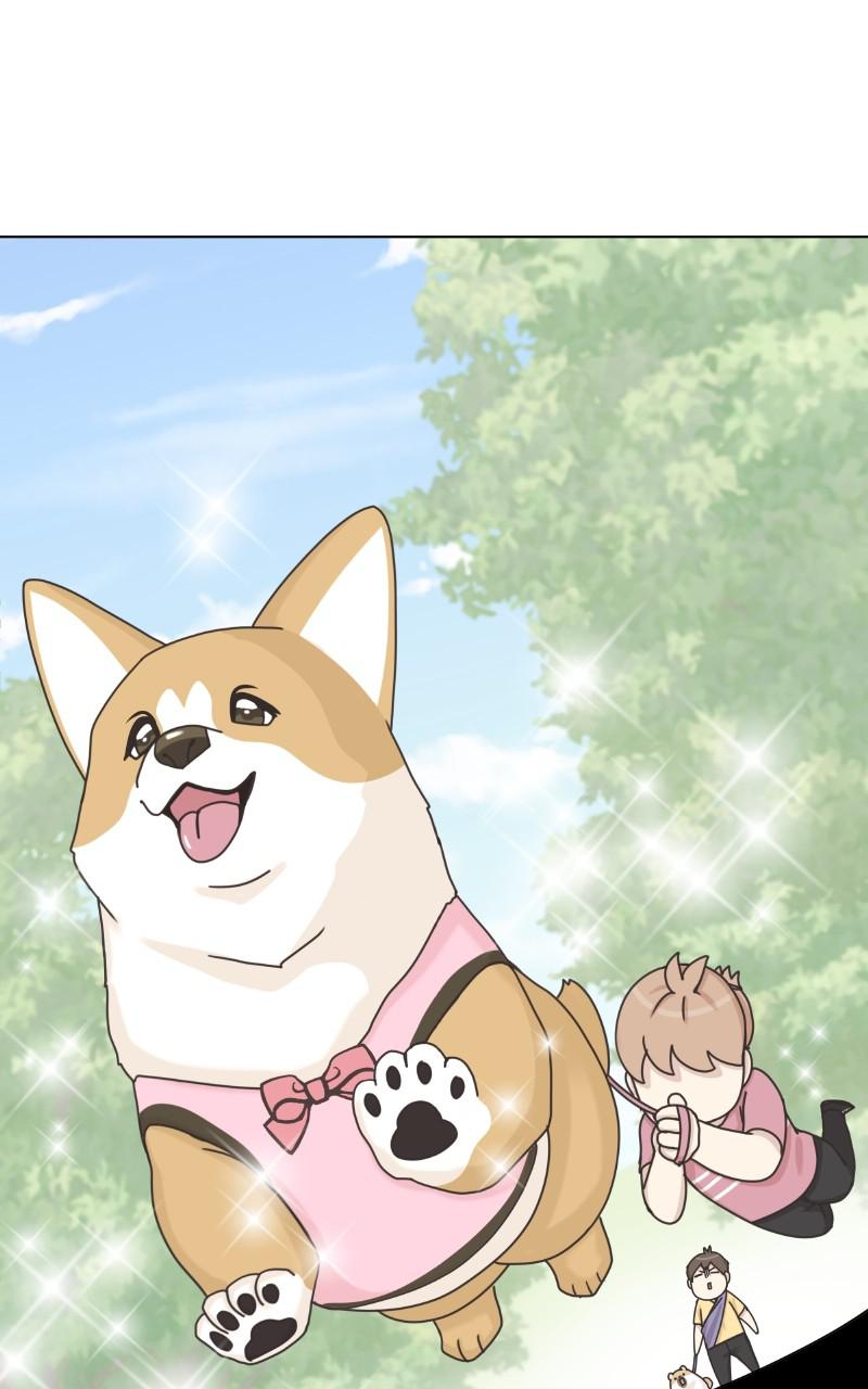 The Dog Diaries S2 - Episode 27 59