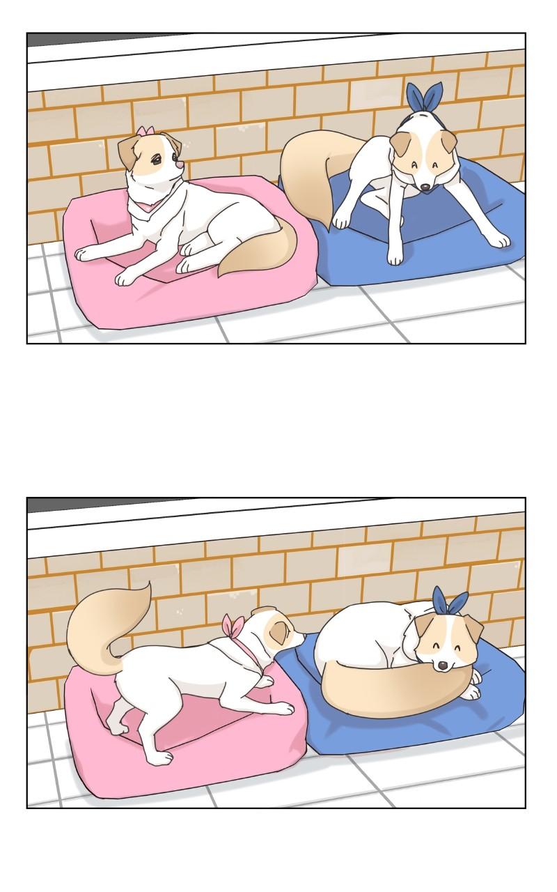 The Dog Diaries S2 - Episode 33 59