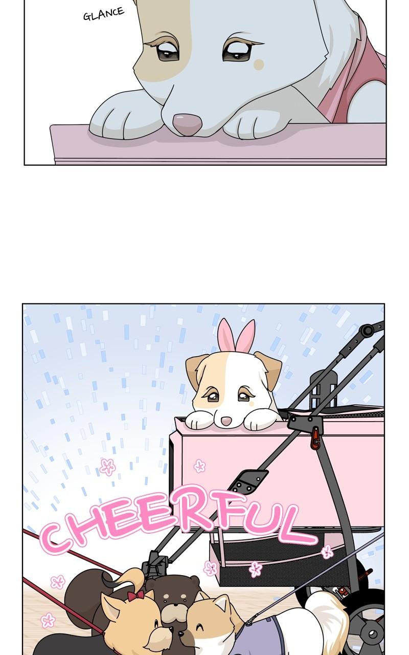 The Dog Diaries S2 - Episode 77 59