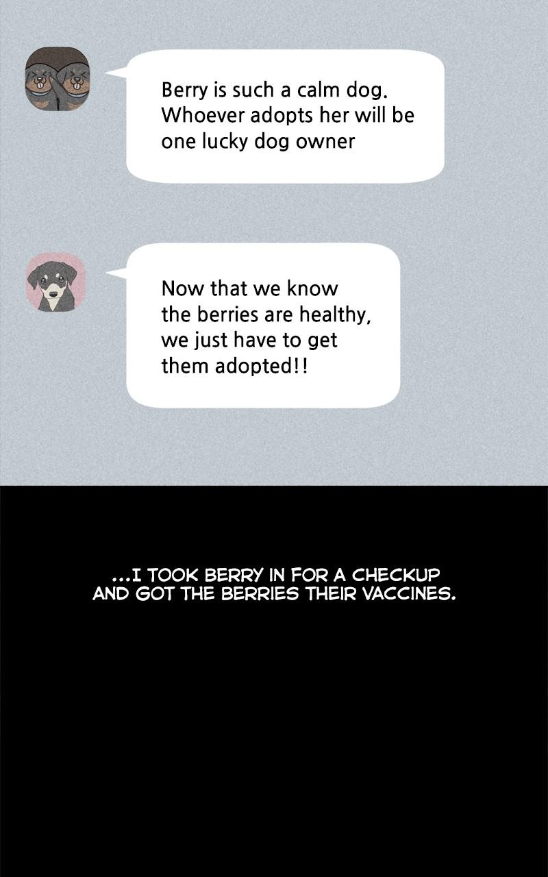 The Dog Diaries S2 - Episode 123 59