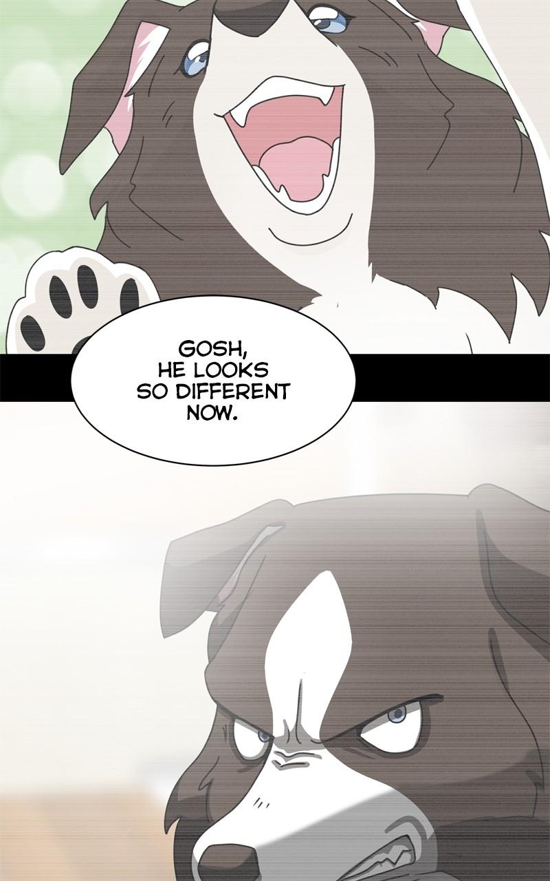 The Dog Diaries S2 - Episode 135 59