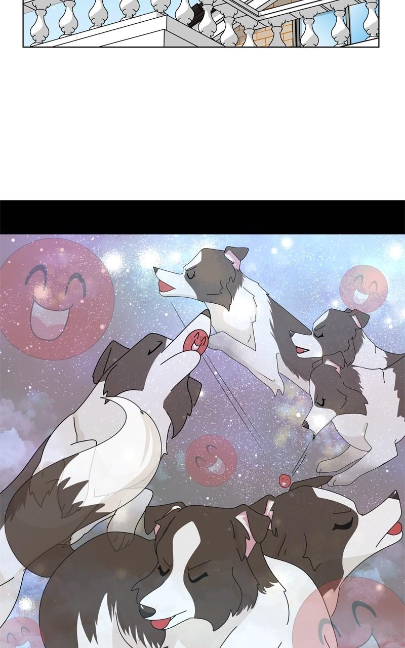 The Dog Diaries S2 - Episode 136 59