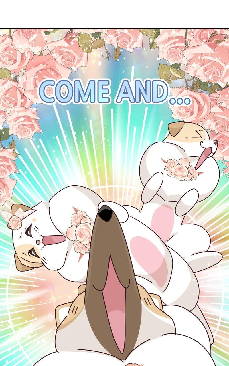 The Dog Diaries S2 - Episode 153 59