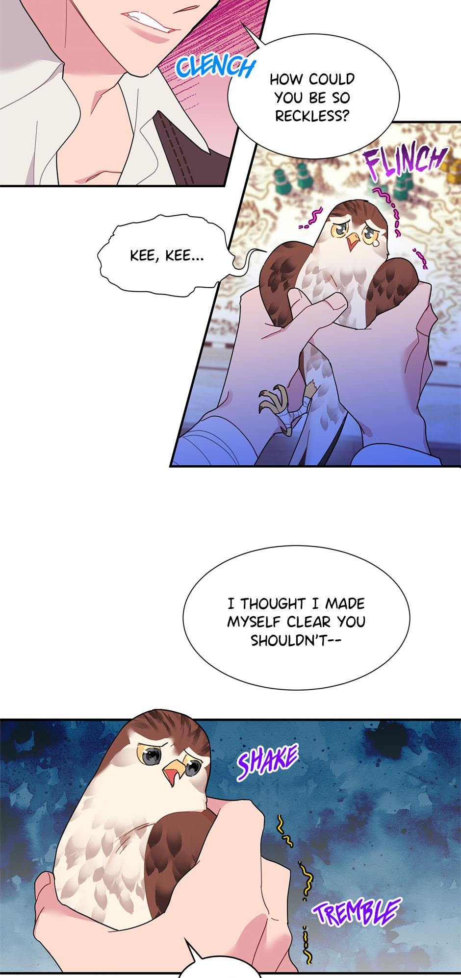 The Falcon Princess Episode 18 19