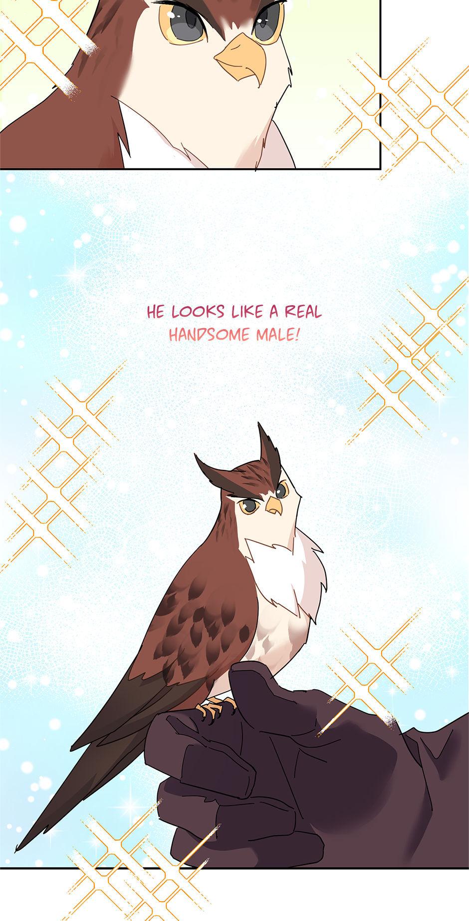 The Falcon Princess Episode 23 17